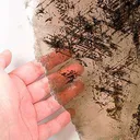 Muscovite With Magnetite Inclusions - image 2