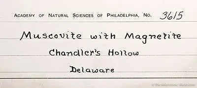 Muscovite With Magnetite Inclusions - image 3