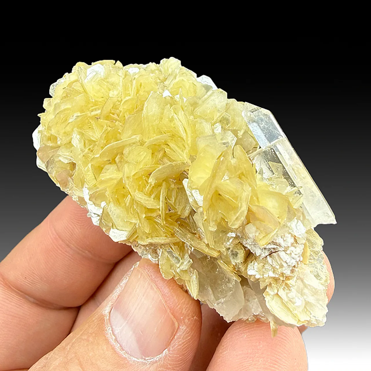 Muscovite with Quartz - image 1