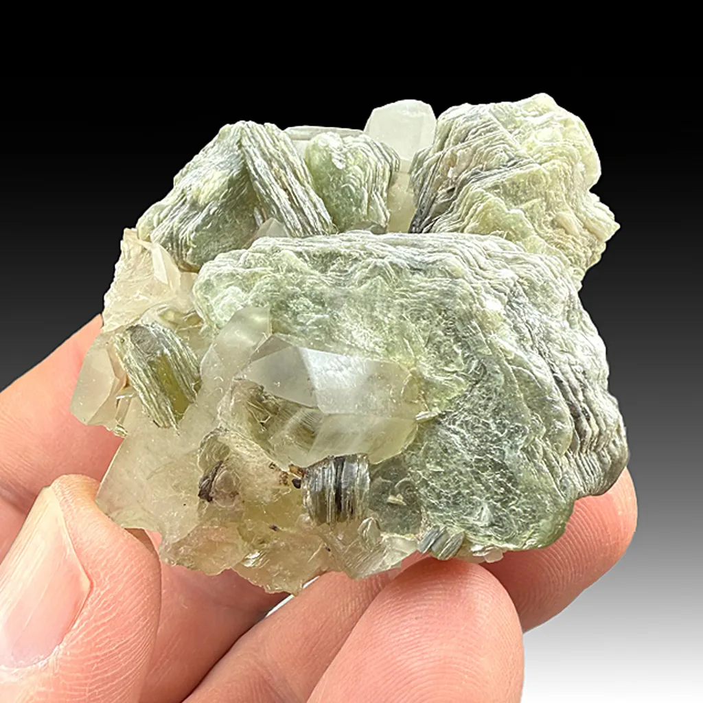 Muscovite with Quartz (2810) image