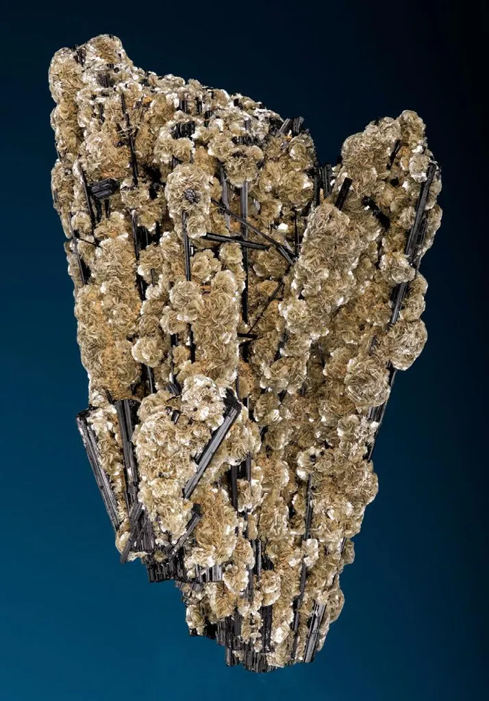 Muscovite with Schorl image