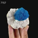 Museum Grade - Cavansite on Mordenite – Exceptional Natural Formation from Wagholi , Pune - image 2
