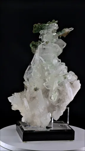 specimen video