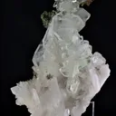 specimen video