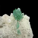 Museum-Grade Green Apophyllite Crystal Cluster on Stilbite Matrix | Rare Indian Zeolite Specimen from Maharashtra | Terminated Apophyllite Formation - image 6