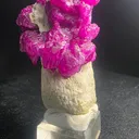 Museum Grade Mogok Ruby Crystals on White Scapolite 5.2cm Burma Myanmar Mineral Specimen - image 6
