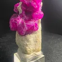 Museum Grade Mogok Ruby Crystals on White Scapolite 5.2cm Burma Myanmar Mineral Specimen - image 5