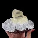 Museum Grade - Yellow Calcite Cluster on Snowy Mordenite Matrix – Indian Mineral Specimen from Chhatrapati Sambhaji Nagar DKT117 - image 2