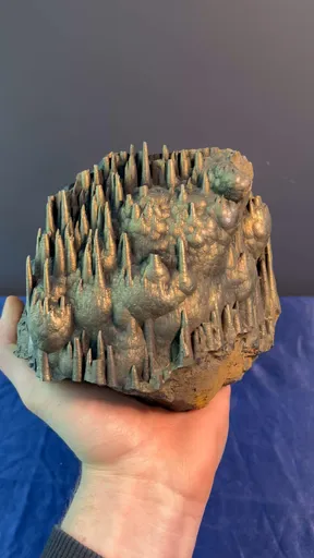specimen video