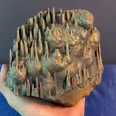 specimen video