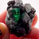 MUZO Emerald MAGIC — PURE COLOMBIAN GREEN - image 1