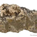 Nagyagite on Quartz - image 6