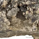 Nagyagite on Quartz - image 4