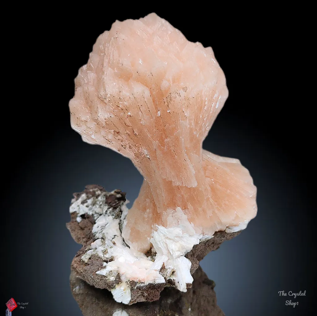 [Name of Mineral]. Natural minerals Specimen, Orange Stilbite bow with Laumontite image