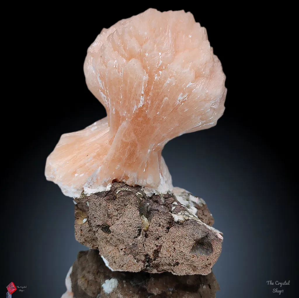 [Name of Mineral]. Natural minerals Specimen, Orange Stilbite bow with Laumontite - image 2