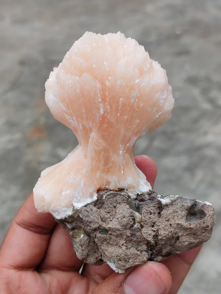 [Name of Mineral]. Natural minerals Specimen, Orange Stilbite bow with Laumontite - image 4
