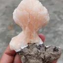 [Name of Mineral]. Natural minerals Specimen, Orange Stilbite bow with Laumontite - image 4