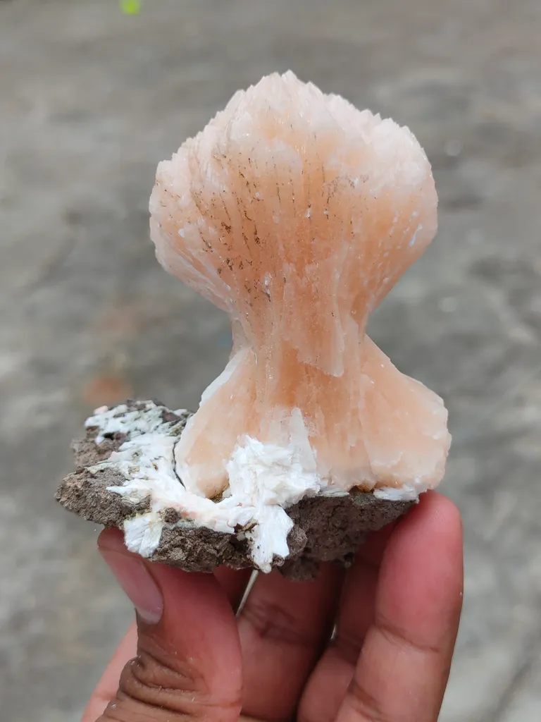 [Name of Mineral]. Natural minerals Specimen, Orange Stilbite bow with Laumontite - image 6