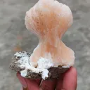 [Name of Mineral]. Natural minerals Specimen, Orange Stilbite bow with Laumontite - image 6
