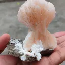 [Name of Mineral]. Natural minerals Specimen, Orange Stilbite bow with Laumontite - image 5