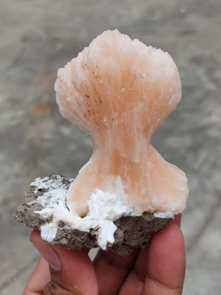[Name of Mineral]. Natural minerals Specimen, Orange Stilbite bow with Laumontite - image 3