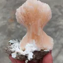 [Name of Mineral]. Natural minerals Specimen, Orange Stilbite bow with Laumontite - image 3