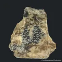 Native Antimony in Calcite - image 3