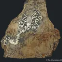 Native Antimony in Calcite - image 4