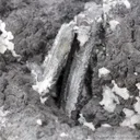 Native Arsenic with Stibnite and Calcite - image 5