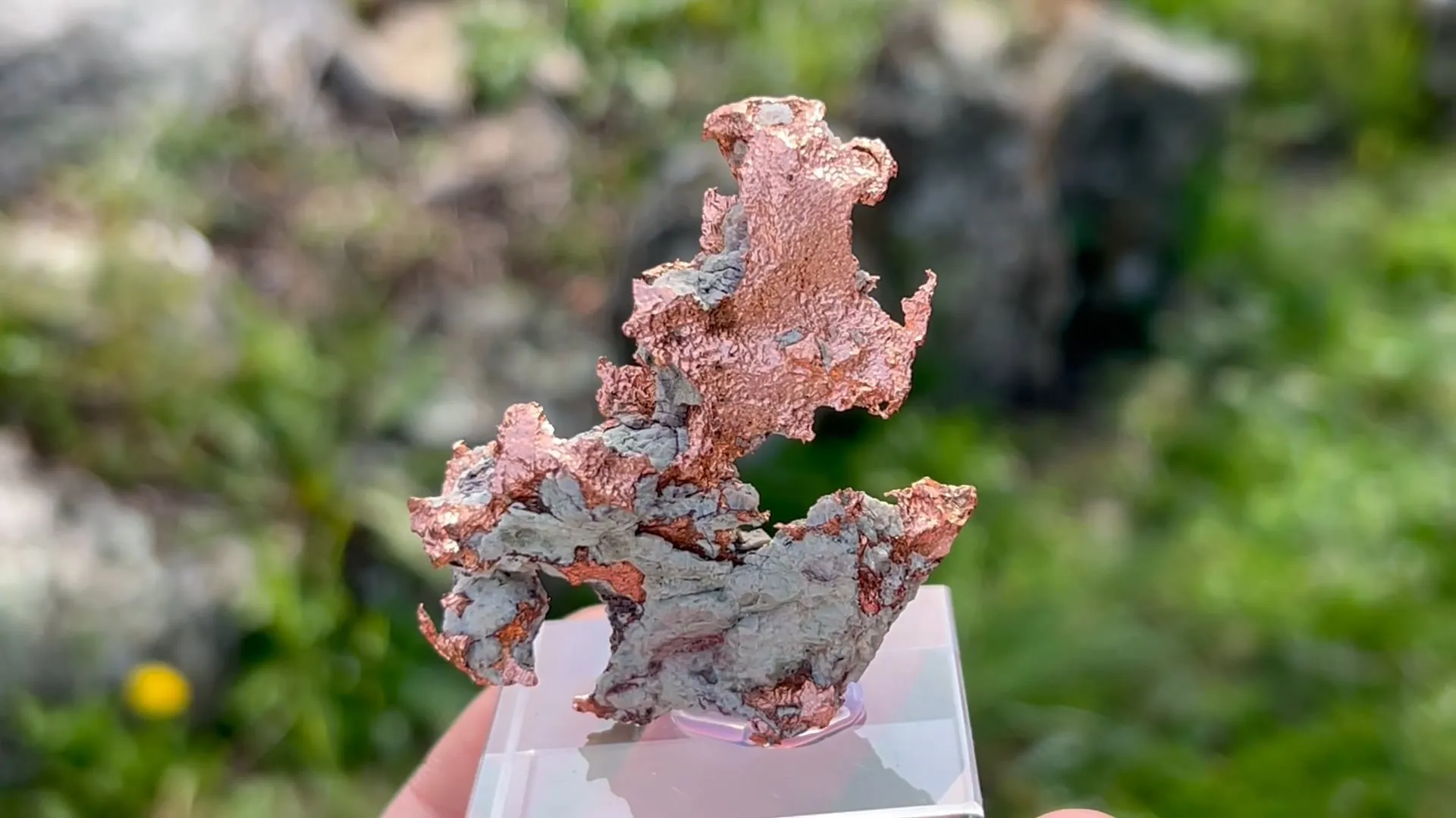 Native Copper - image 5