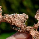 Native Copper 123 grams - Ontonagon Co., Michigan, USA - image 6