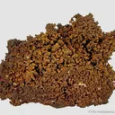 Native Copper - image 1