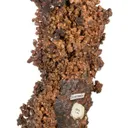 Native Copper - image 5
