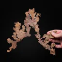 NATIVE COPPER - image 2