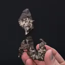 NATIVE Copper - image 2