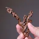 NATIVE Copper - image 2