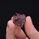 NATIVE Copper - image 2
