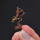 Native Copper - image 2