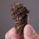 NATIVE Copper - image 2