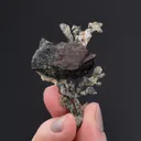 NATIVE Copper - image 2