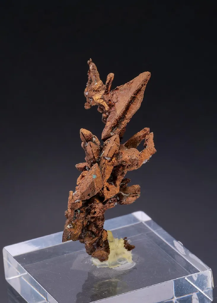 NATIVE Copper image