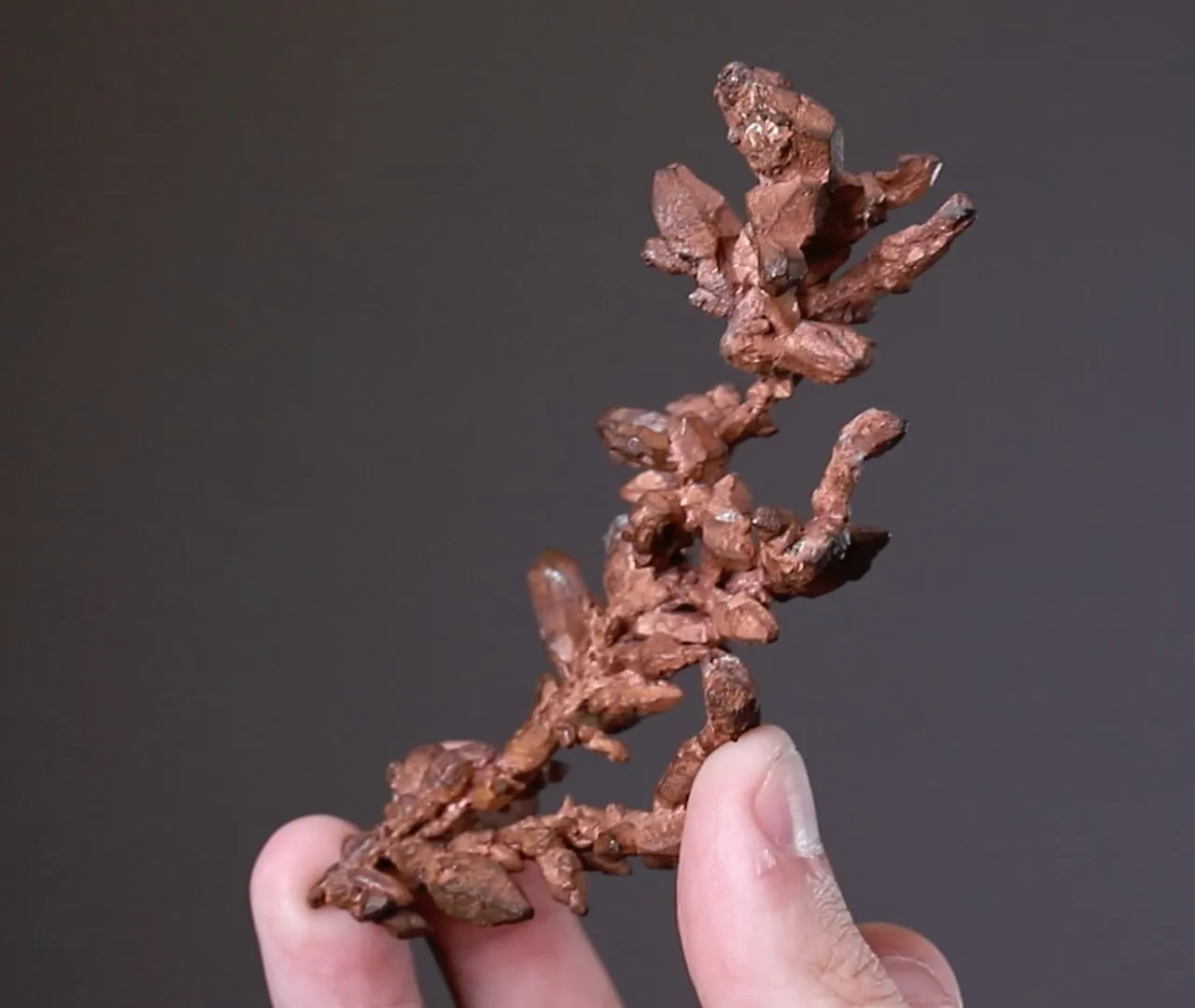 NATIVE Copper - image 2