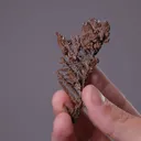 NATIVE Copper - image 2