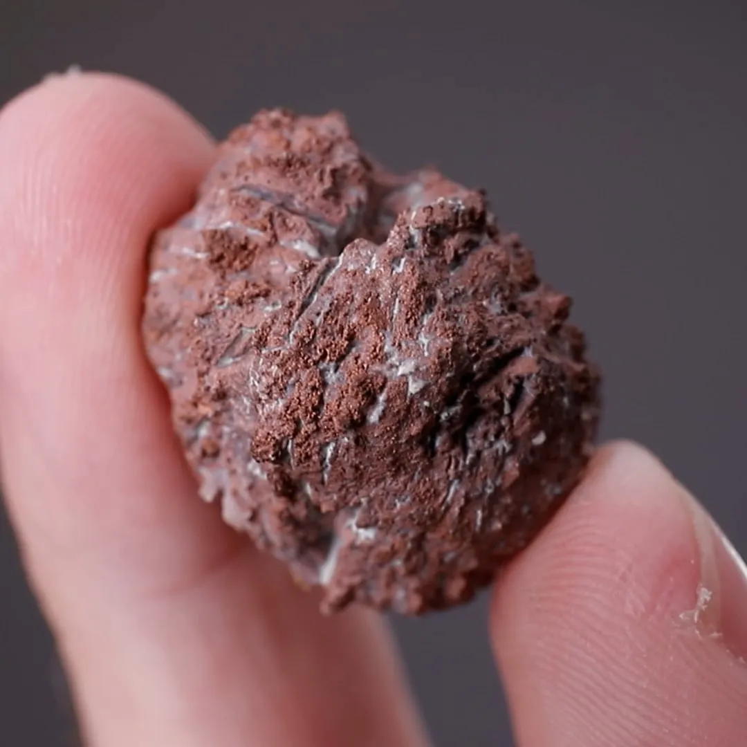 NATIVE Copper Rose pseudomorph Azurite - image 2