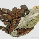 Native Copper with cubic XLS and Analcime - image 2