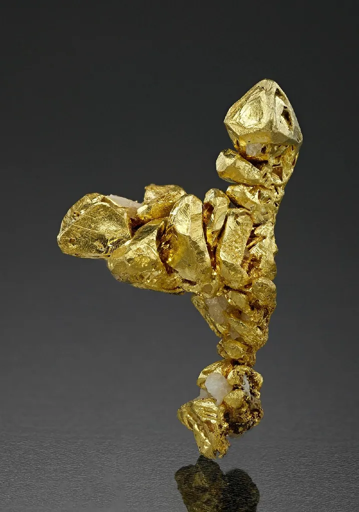 NATIVE Gold image