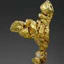 NATIVE Gold - image 1