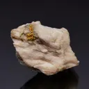 NATIVE Gold - image 1