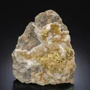 NATIVE Gold - image 1