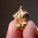 NATIVE Gold - image 2